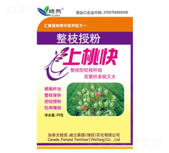 ��֦�ڷ����ҿ�-�G��-��ʿ�R��