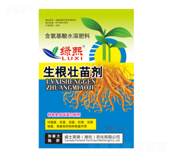 �������焩�����b��-�G��-��ʿ�R��