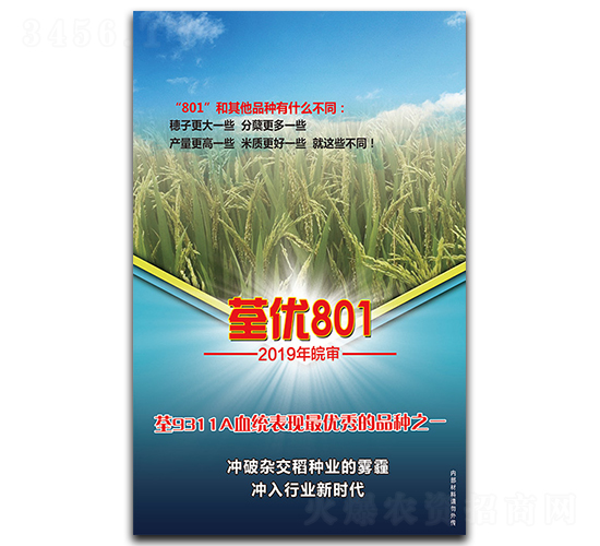 ����(y��u)801-ˮ���N��-���y��¡