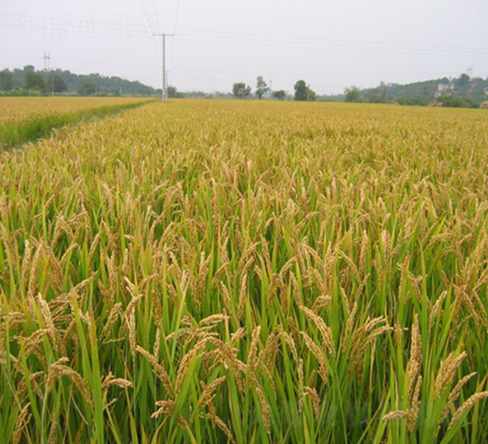 ��ˮ0001-ˮ���N��-���r(n��ng)�N�I(y��)