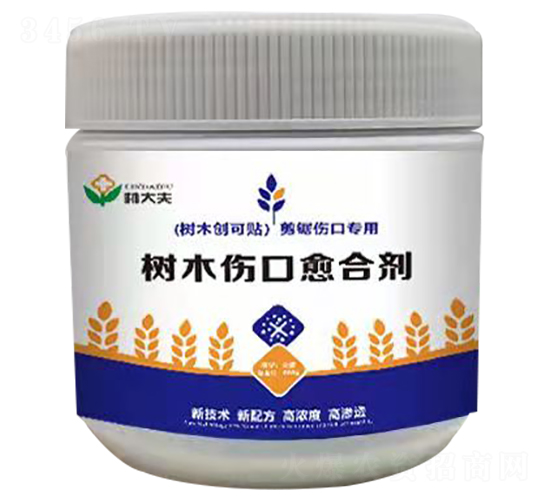 ��(sh��)ľ�������τ�-�ִ��-��(r��n)��