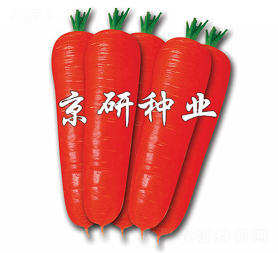 �tо90-���}���N��-����