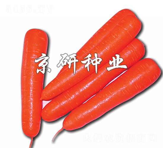 �tо120-���}���N��-����