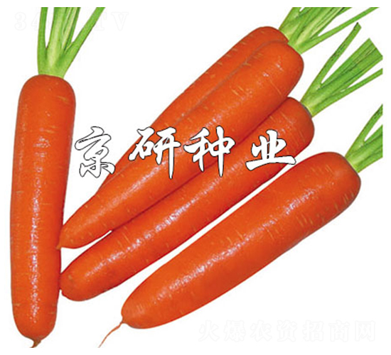 �A�u(y��)268-���}���N��-����