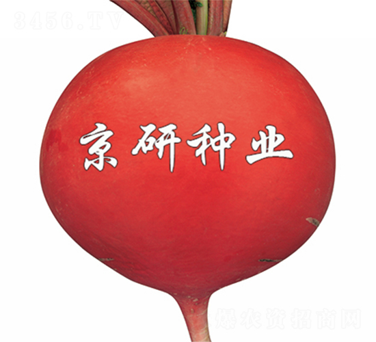 ���t3̖-�}���N��-����