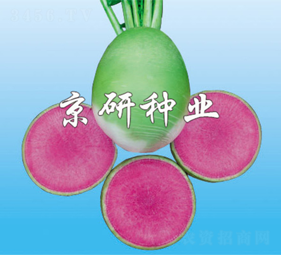 ����2̖-�}���N��-����