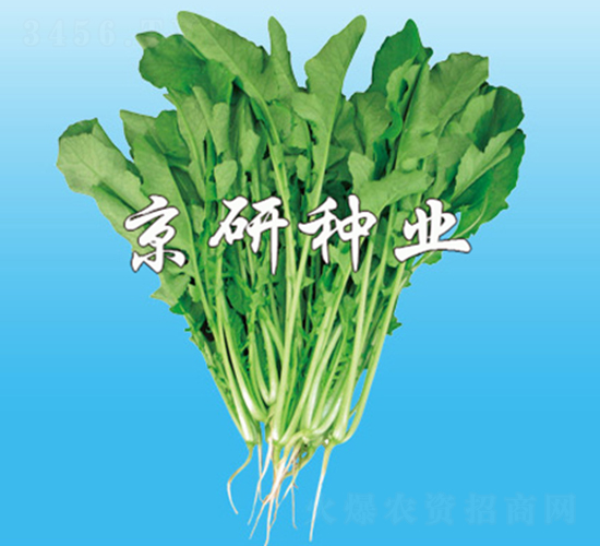 �����~���}��-�}���N��-����