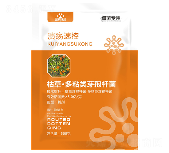 �����ٿأ�΢���������-��p�p-�������