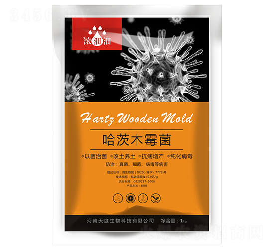 ����ľù��-��p�p-�������