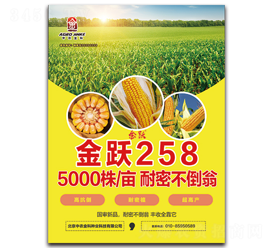 ���S258-���׷N��-���r(n��ng)���