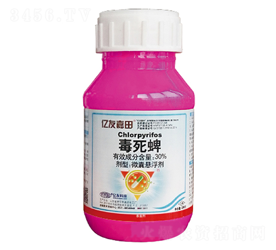 �|�Ѽ���-30%������΢�z�һ����������������N�����tɫ1+1+1��