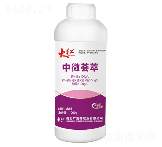 ��΢�C��-��t-�V����