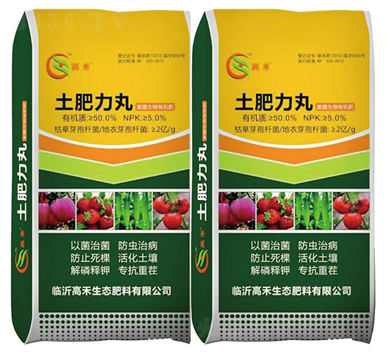 �����ЙC��-��������-�ߺ�