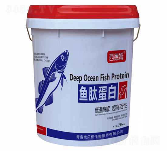 �~�ĵ���-����ķ-��ؐ��