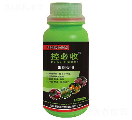 PBO����(sh��)�ٿ؄�-�ر���-���ؿ�