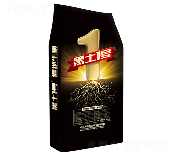 �������-����1̖-�R��