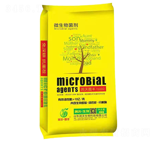 ΢�������-��̩����