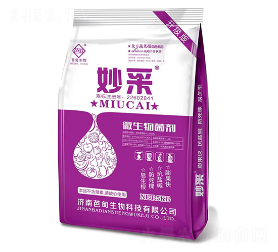 ΢�������-���-�ŵ�����