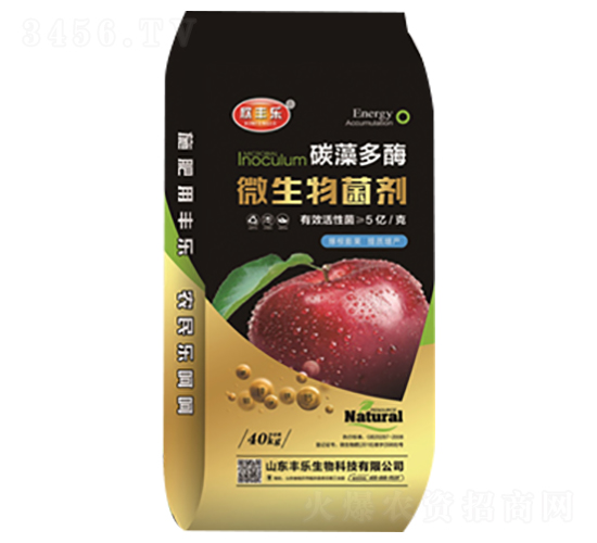 ̼���ø΢�������-�W�S��-�S������