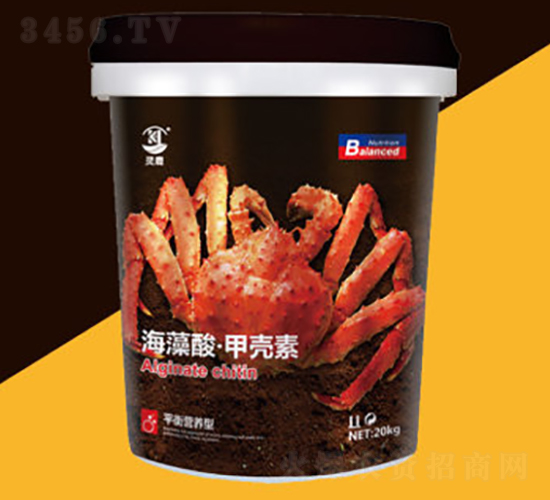 �����ᡤ�ך���-�`¹-�P������