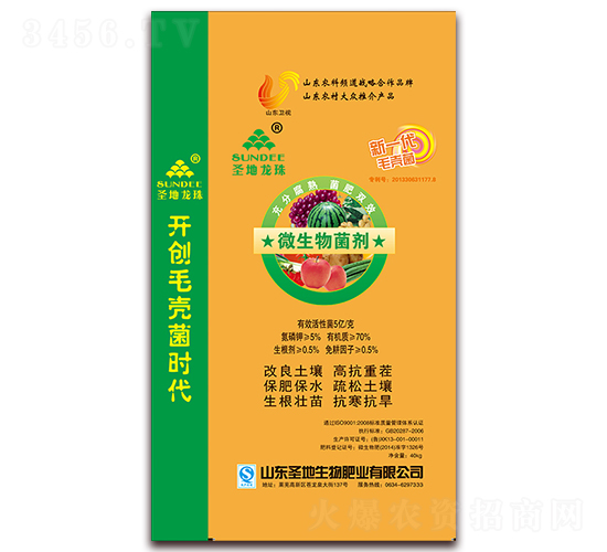 ΢�������-ʥ������