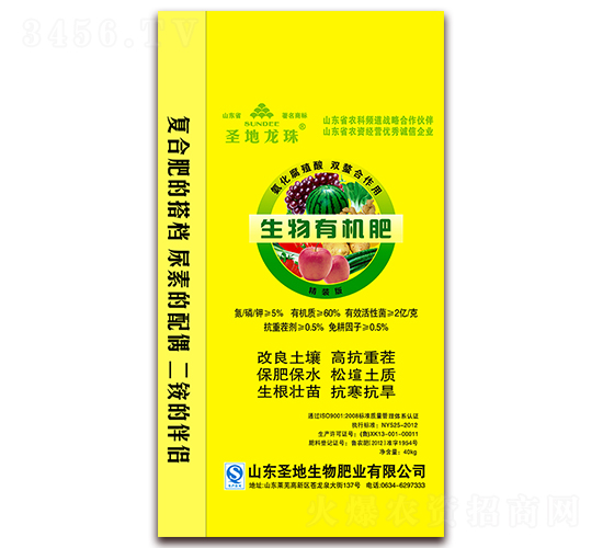 �����ЙC(j��)��-ʥ������