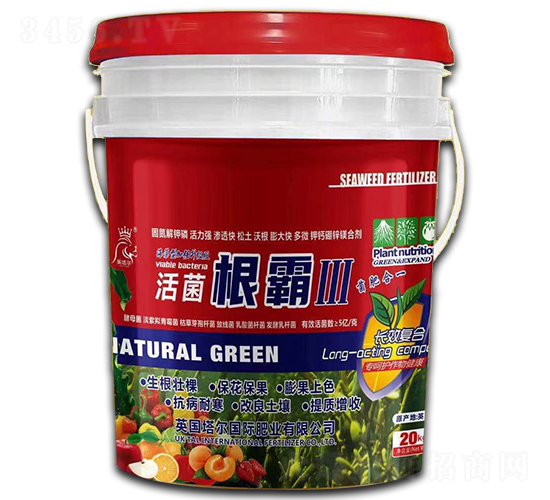 �������-Ӣ����