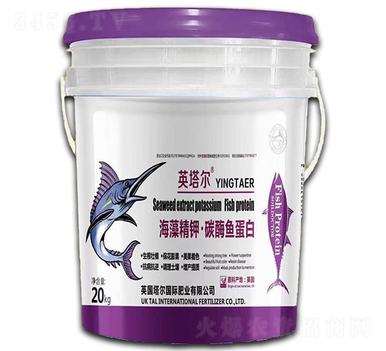 ���徫⛡�̼ø�~����-Ӣ����