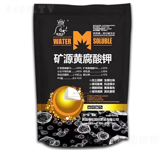 �VԴ�S�����-Ӣ����