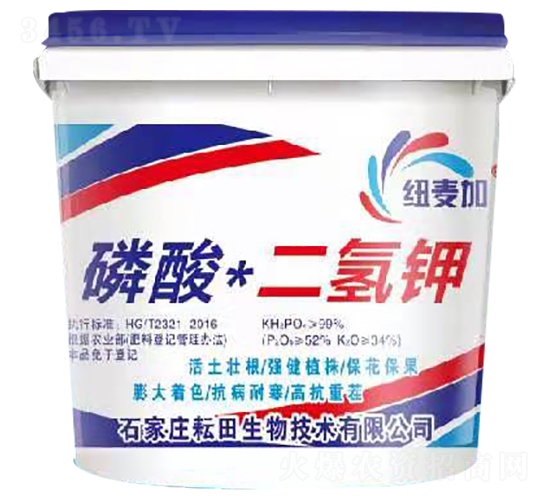 ���ᣫ�����-�~����-��������