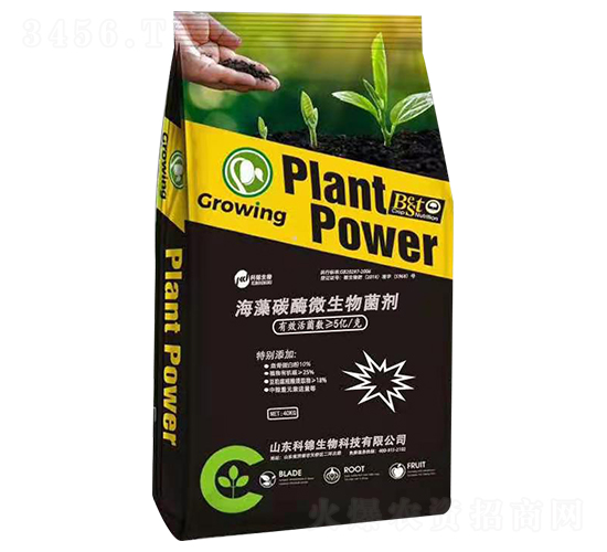 ����̼ø΢�������-���\����