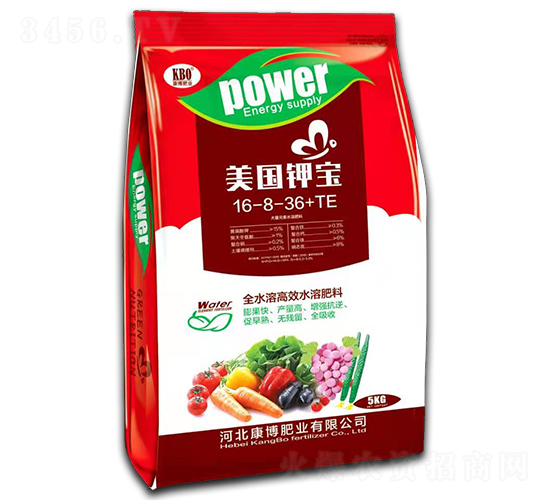 ����⛌�16-8-36+TE-�����ʘI(y��)