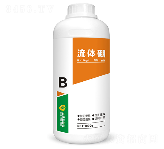 1000g���w��-���ý�