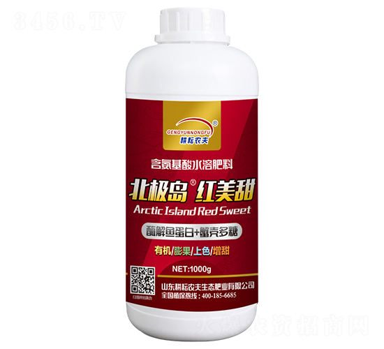 1000g���O�u���t����-�����r(n��ng)��