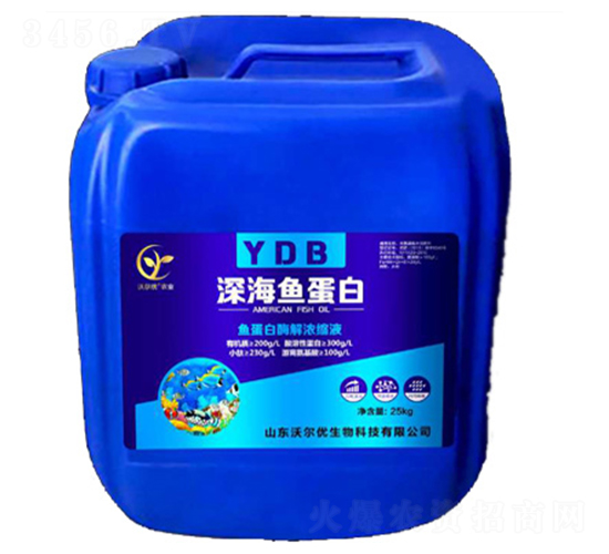 ��~����-ɽ�|�֠���(y��u)