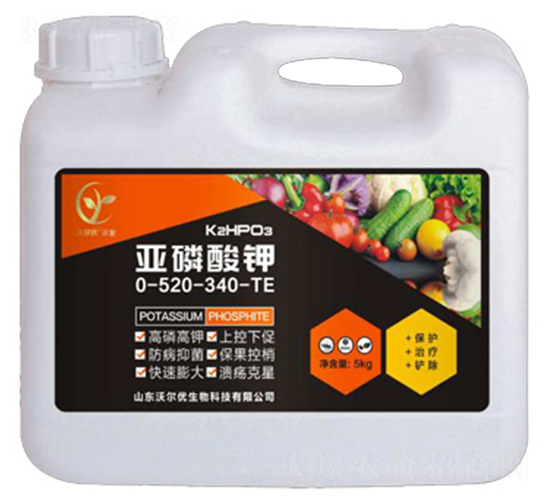 ������⛣�5kg��-ɽ�|�֠���(y��u)