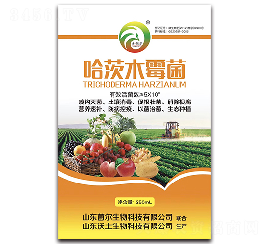 ����ľù��-��������