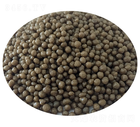 ������@�w��-��ʢ����