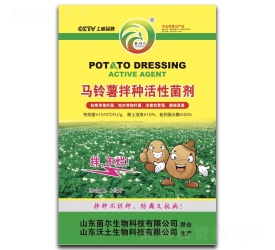 �R�����N���Ծ���-��������