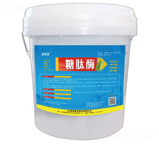 ����ø-���Դ-�T���M����