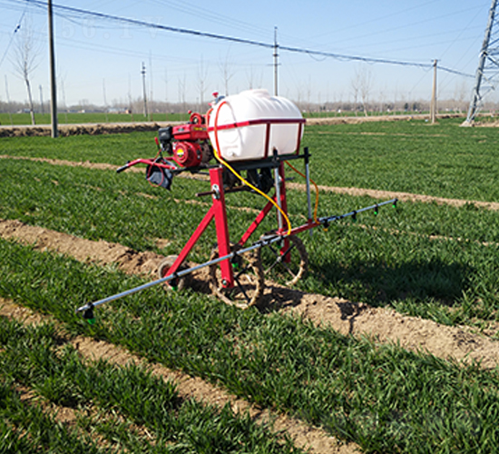 �ַ�����ʽ��ˎ�C(5)-����Cе