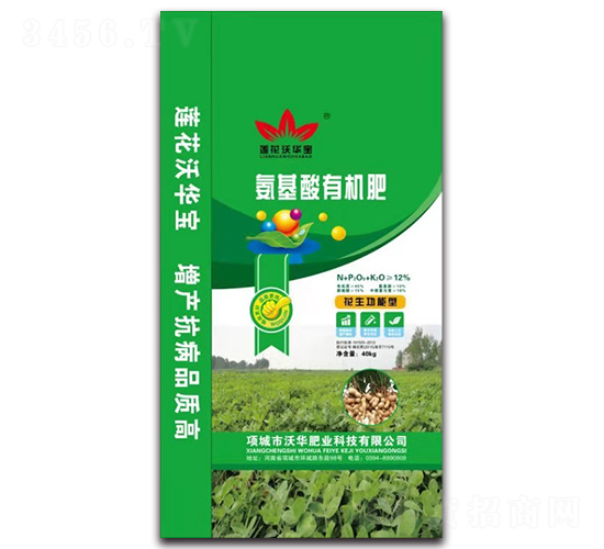 �������ЙC��-���A�ʘI(y��)