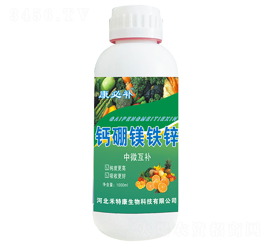 �}���V�F�\-�����a(b��)-���ؿ�