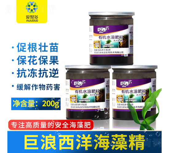 �����徫-����-��(��i)�۶�