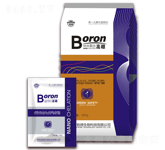 �{�����ϸ����-����