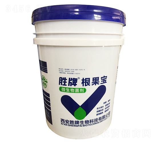 ΢�������-������-����