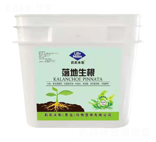 �������-��������