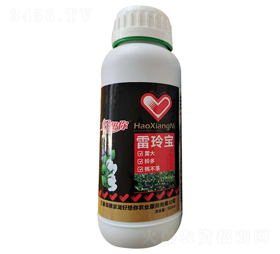 ���ጚ-�������r(n��ng)�I(y��)