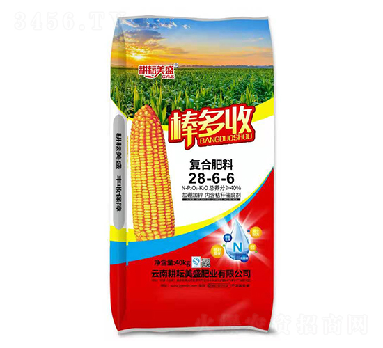 ��(f��)�Ϸ���28-6-6-������-������ʢ