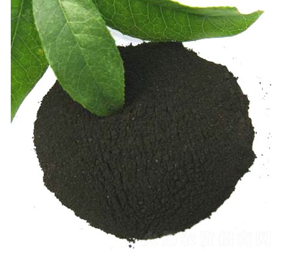 ��ֲ���@-�����S